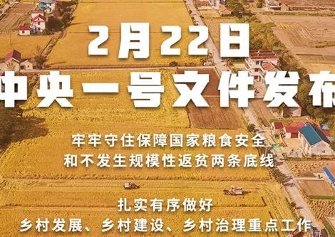 重磅！2022年中央一号文件发布